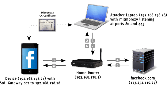 Transparent proxy setup for MitM attack